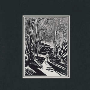 Heavy oversized unisex T-shirt Nucia-Forest Midnight achterkant Zoom